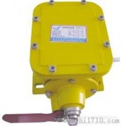 縱向撕裂開關(guān)YHZL-I、YHZL-IIBZL-220B防爆縱向撕裂保護(hù)裝置
